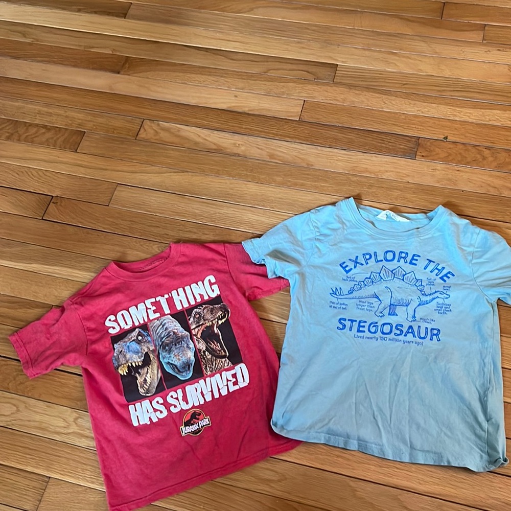 Boys dinosaur t-shirts